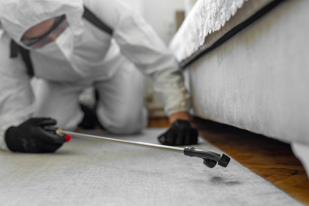 Professional Termite Control technician working in West Falmouth, MA