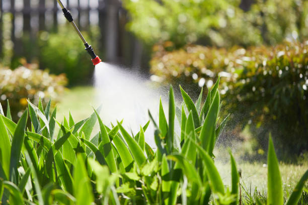 24/7 Emergency Termite Control experts in West Falmouth, MA