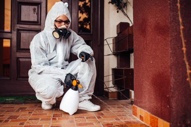 Reliable Termite Control contractor in West Falmouth, MA by Nex Pest Control