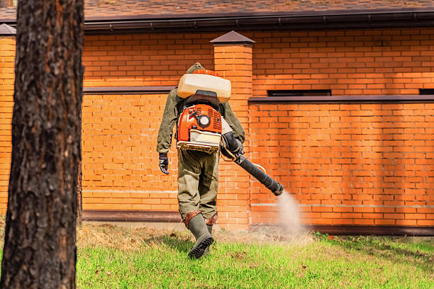 Trusted Termite Control service in West Falmouth, MA - Nex Pest Control